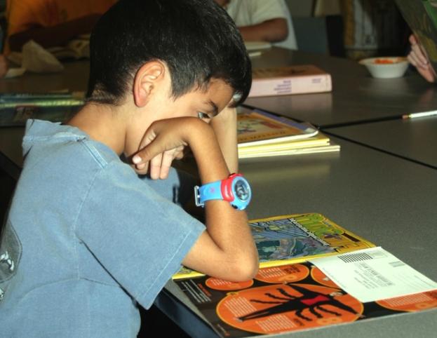 Pas de service minimum dans les écoles Toulousaines