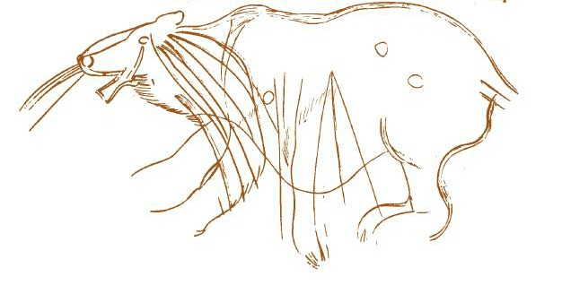 Pyrénées. l’Ours des cavernes les mystères d’une disparition