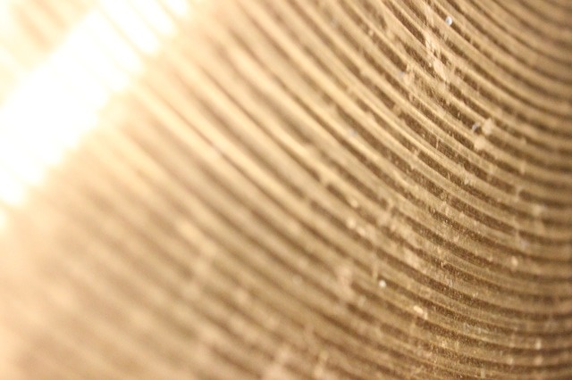 Cancer du Pancréas : test à Toulouse d’un protocole prometteur