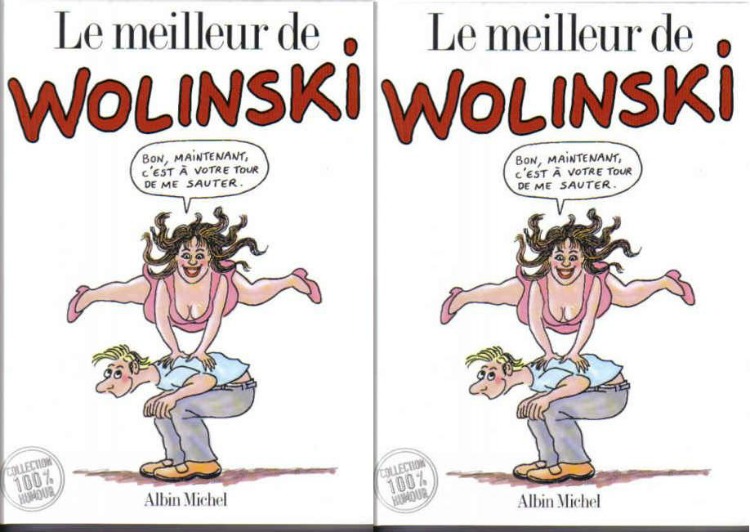 La médiathèque de Fenouillet nommée Georges Wolinsky