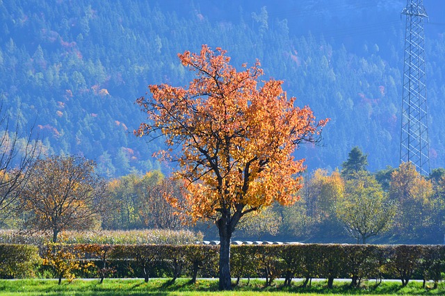 Tremblement de terre dans les Pyrénées