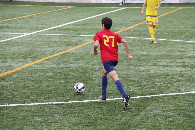Le Toulouse Football Club 19e, à 5 points du 1er non relégable