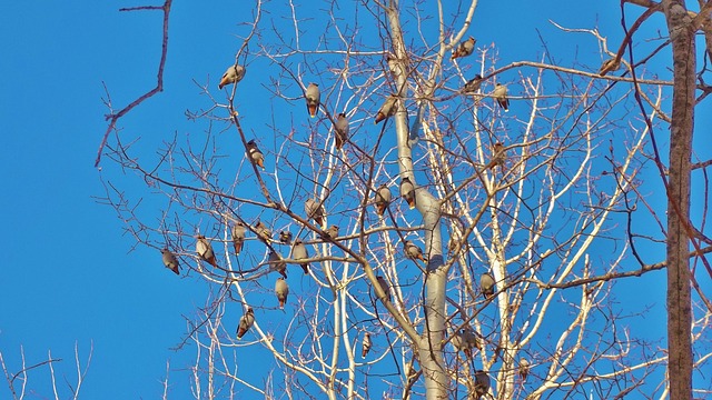 Météo Toulouse : soleil et températures agréables ce mardi 17 novembre