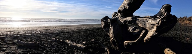 Le sommet humanitaire mondial organisé à Istambul en pleine crise des migrants