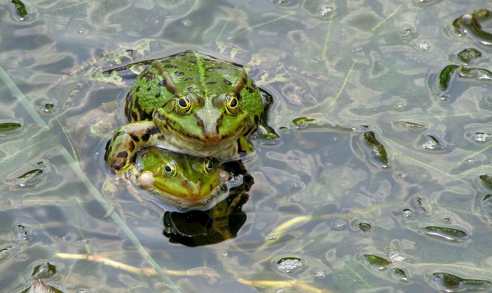 Météo Toulouse. alerte aux orages levée mais le temps reste maussade dimanche