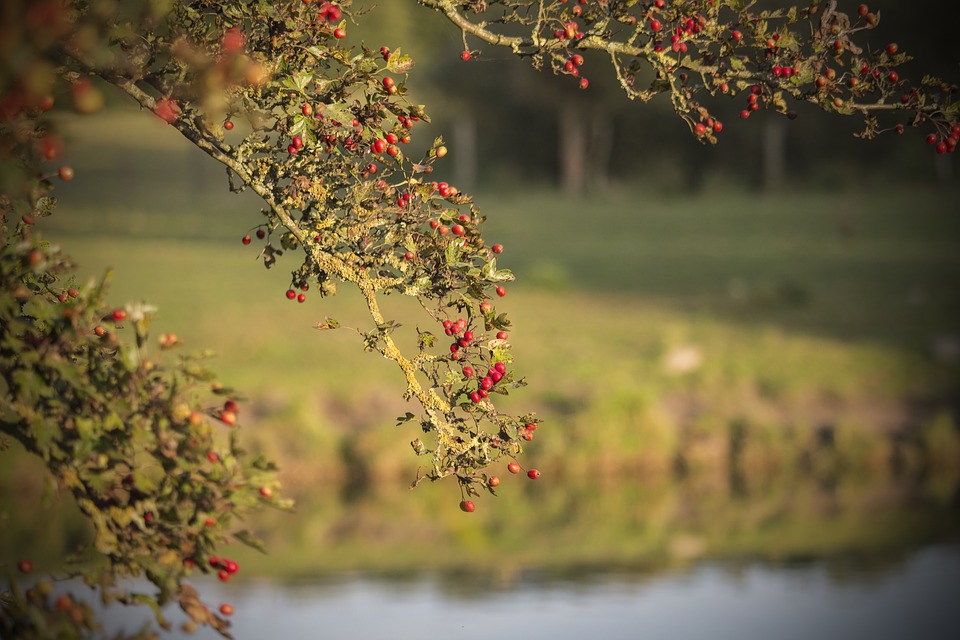 Nuages, pluies, éclaircies et baisse des températures à Toulouse ce mercredi