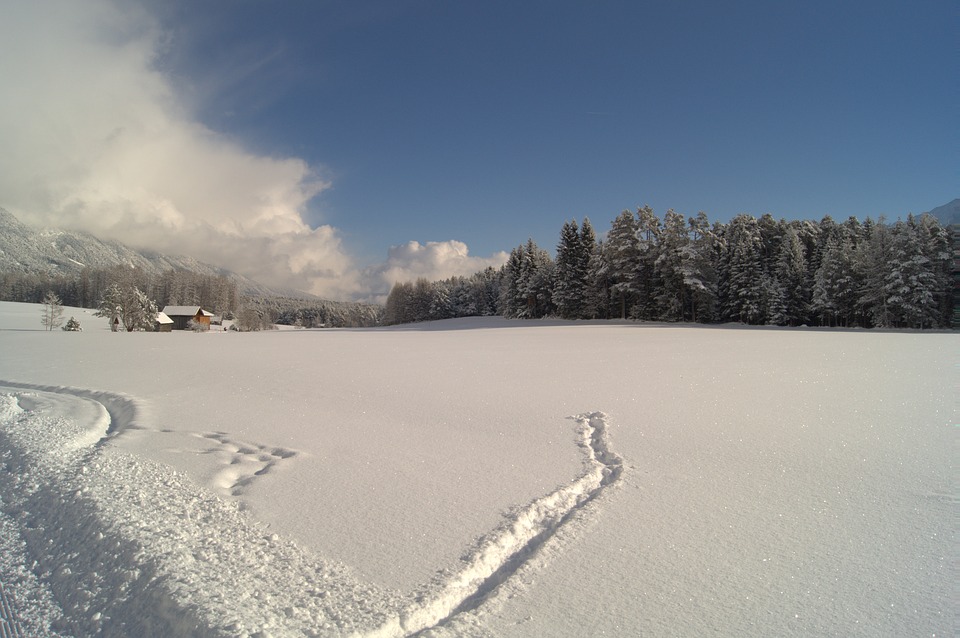 Météo Toulouse. soleil et gelées ce samedi