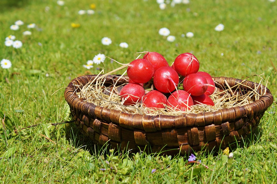Météo Toulouse. soleil, nuage et 27 degrés jeudi après midi