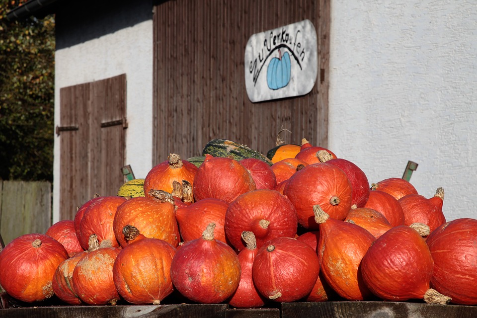 8 octobre, jour de la citrouille