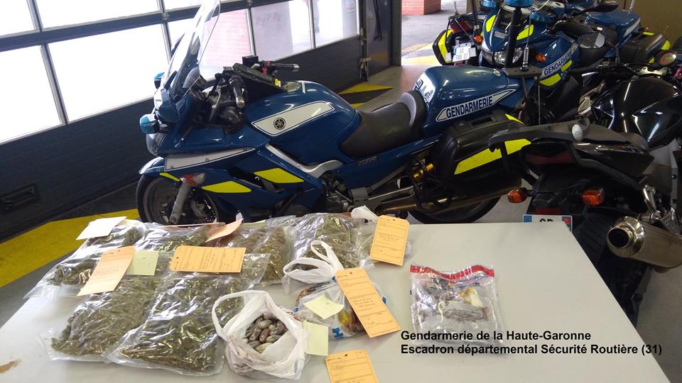 Toulouse. le flair du chien Lazer permet de découvrir 10 kilos de drogue