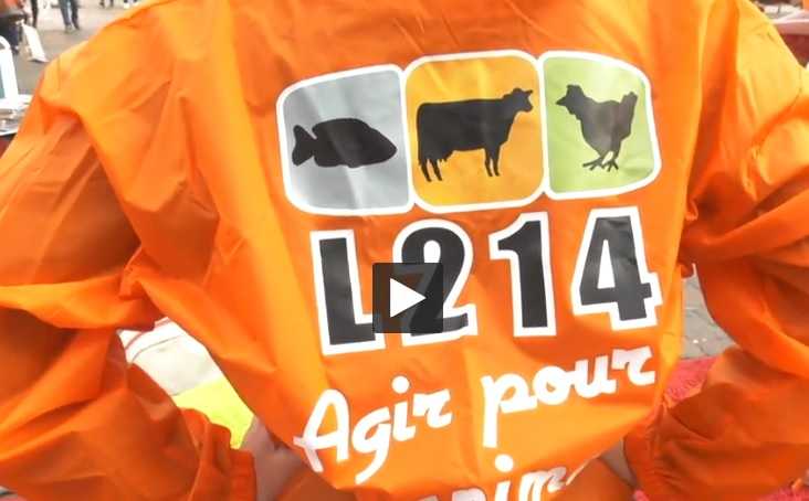 Foie Gras Toulouse L'association L214 lutte contre le gavage des animaux