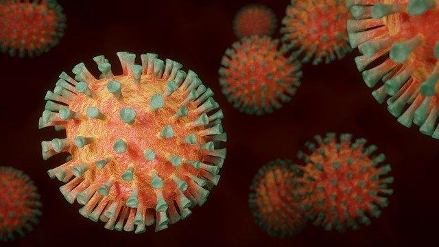 Coronavirus, appel pour une paix mondiale