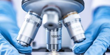 Agde : découverte d'un cadavre décapité