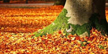 Le temps maussade va t il se prolonger à Toulouse