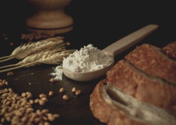 Le prix des céréales au plus haut depuis 10 ans