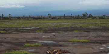 "La crise climatique alimente une crise alimentaire"