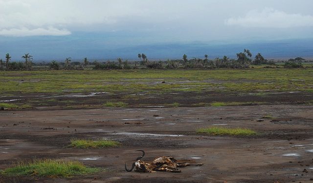 "La crise climatique alimente une crise alimentaire"