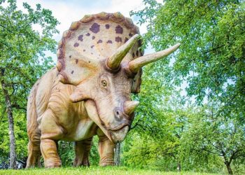 Qui est Big John actuellement exposé à Paris