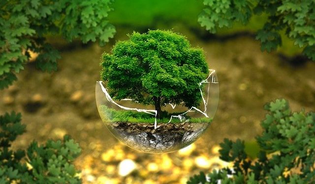 L'accès à un environnement sain est déclaré droit de l'homme