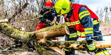 Tempête Aurore : 250 000 foyers sans électricité, de nombreux dégâts