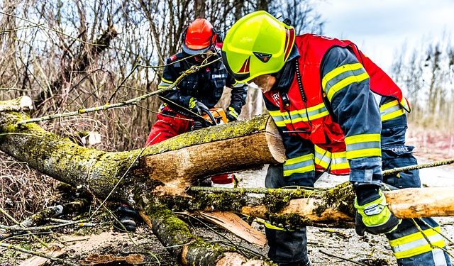 Tempête Aurore : 250 000 foyers sans électricité, de nombreux dégâts