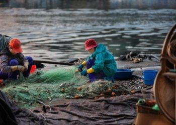 Pêche post-Brexit : appels aux discussions après une escalade entre Paris et Londres