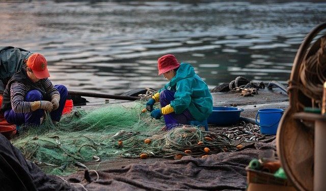 Pêche post-Brexit : appels aux discussions après une escalade entre Paris et Londres
