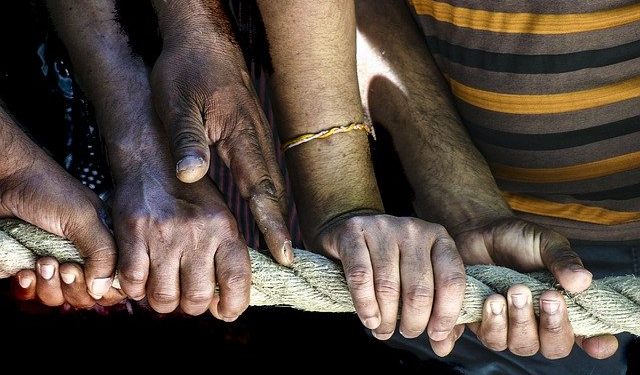 Novembre, le mois de l'économie sociale et solidaire en Occitanie