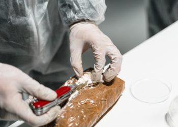 Qui est Otoniel le baron de la drogue présenté comme le successeur de Pablo Escobar