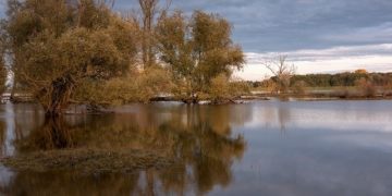 Inondations en Chine : près d'un million de déplacés dans le nord du pays