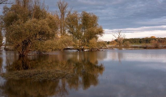 Inondations en Chine : près d'un million de déplacés dans le nord du pays