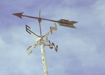 Ardennes, Meuse et Marne en alerte météo vigilance orange pour vents violents