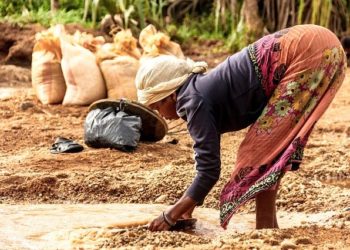 Madagascar : une sécheresse provoque la 1ère famine due au changement climatique