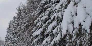 Importantes chutes de neige annoncées dans les Pyrénées