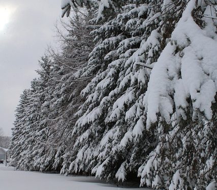 Importantes chutes de neige annoncées dans les Pyrénées