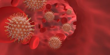 Covid19 ce que l'on sait du variant Omicron