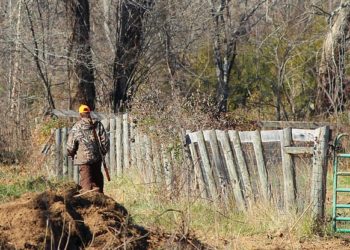Près de Rennes, un automobiliste grièvement blessé par un tir de chasseur