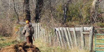 Près de Rennes, un automobiliste grièvement blessé par un tir de chasseur