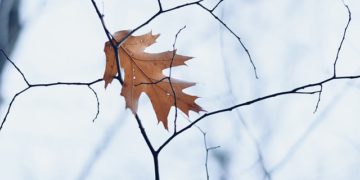 Météo Toulouse, Soleil et froid au programme cette semaine