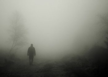 Cadavre découvert dans une voiture brûlée près de Tarbes, la piste du meurtre privilégiée