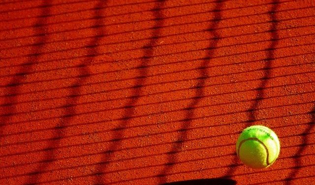 Monfils Djokovic au Masters 1000 de Paris