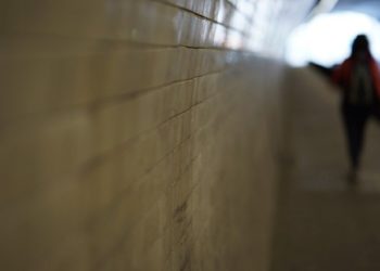 Une escroquerie financière de 400 000 euros démantelée au sud de Toulouse