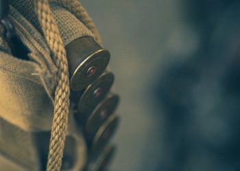 Toulouse - Décès du résistant et artiste Lucien Vieillard