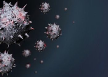 Le Conseil scientifique annonce une sixième vague de Covid19 liée au variant Omicron