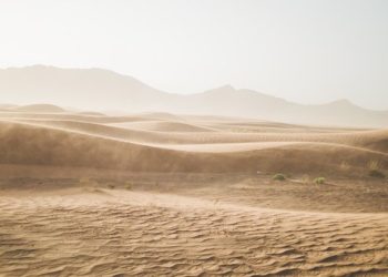 Après de nouvelles sécheresses, alerte à la Famine en Somalie