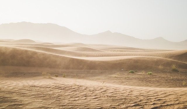 Après de nouvelles sécheresses, alerte à la Famine en Somalie