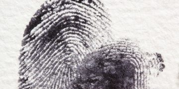 La compagne de Cédric Jubillar en garde à vue pour "recel de cadavre"