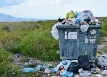 "Les plastiques dans les sols menacent la sécurité alimentaire, la santé et l'environnement"