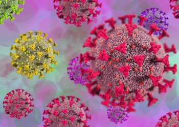 Covid-19 : le variant Omicron identifié dans 57 pays (OMS)