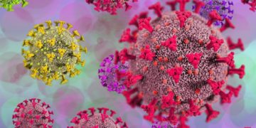 Covid-19 : le variant Omicron identifié dans 57 pays (OMS)